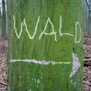 Wald Wegweiser