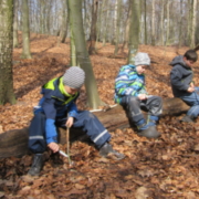 Schnitzen im Wald