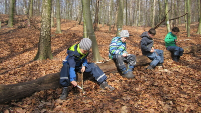 Schnitzen im Wald