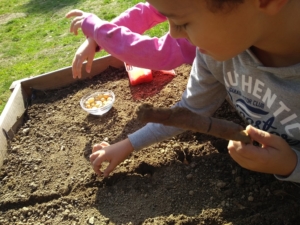 Kinder säen Gemüse und setzen Steckzwiebeln in ein Hochbeet