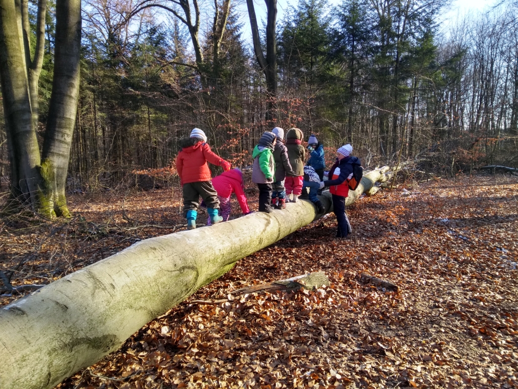 Kindergartenkinder - Waldpädagogik Astrid Walker