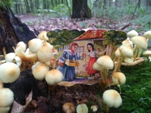Märchenhafte Welt der Pilze