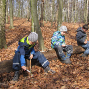 Home Kinder schnitzen im Wald