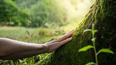 Verbindung mit der Natur